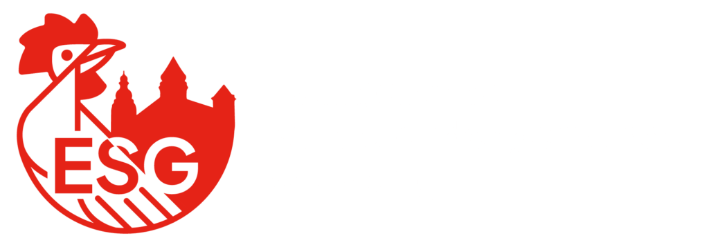 Medienmanagement Studium Würzburg - ✓praxisnah ✓familiär ✓staatlich